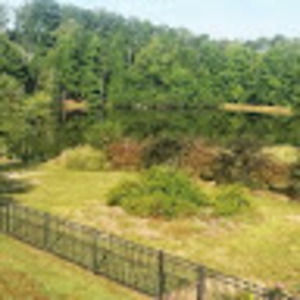 Meet your Posher, Tom